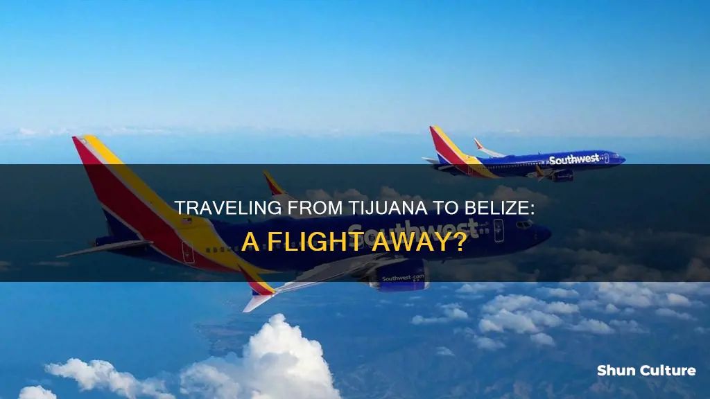 can you fly from tijuana to beliz