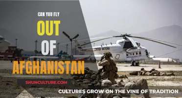 Escape from Afghanistan: Navigating Air Travel in a Time of Crisis