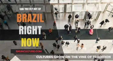 Current Travel Restrictions: Can You Fly Out of Brazil Now?