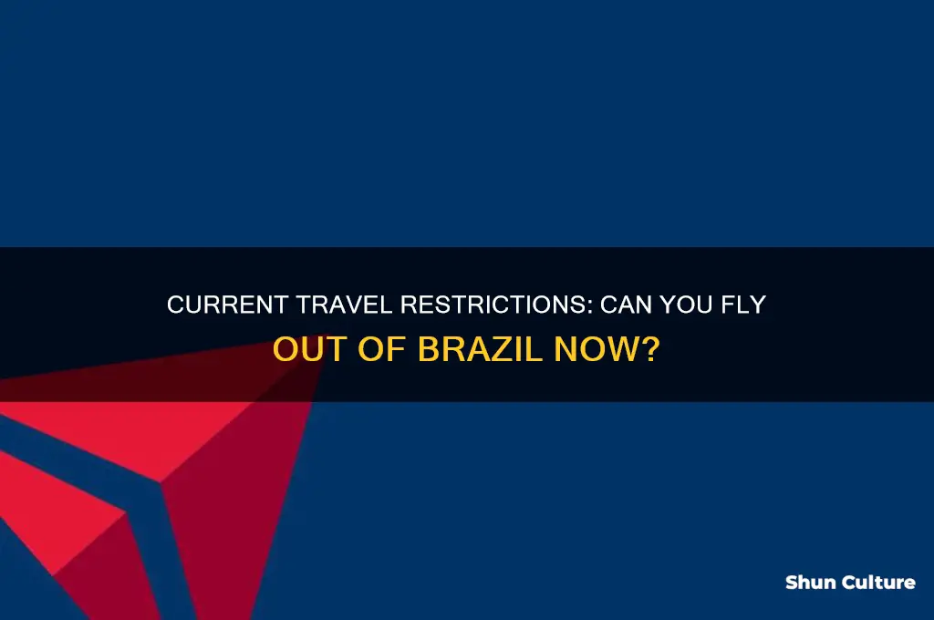 can you fly out of brazil right now