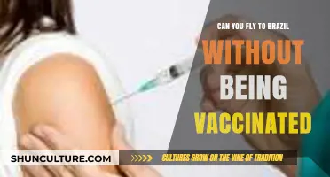 Traveling to Brazil: Vaccine Requirements and What You Need to Know