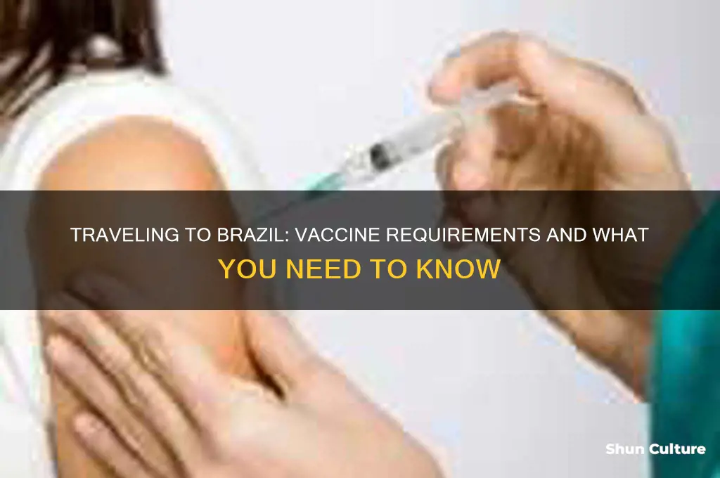 can you fly to brazil without being vaccinated