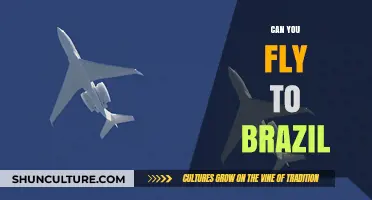 Exploring Brazil: Flight Options, Travel Tips, and Entry Requirements