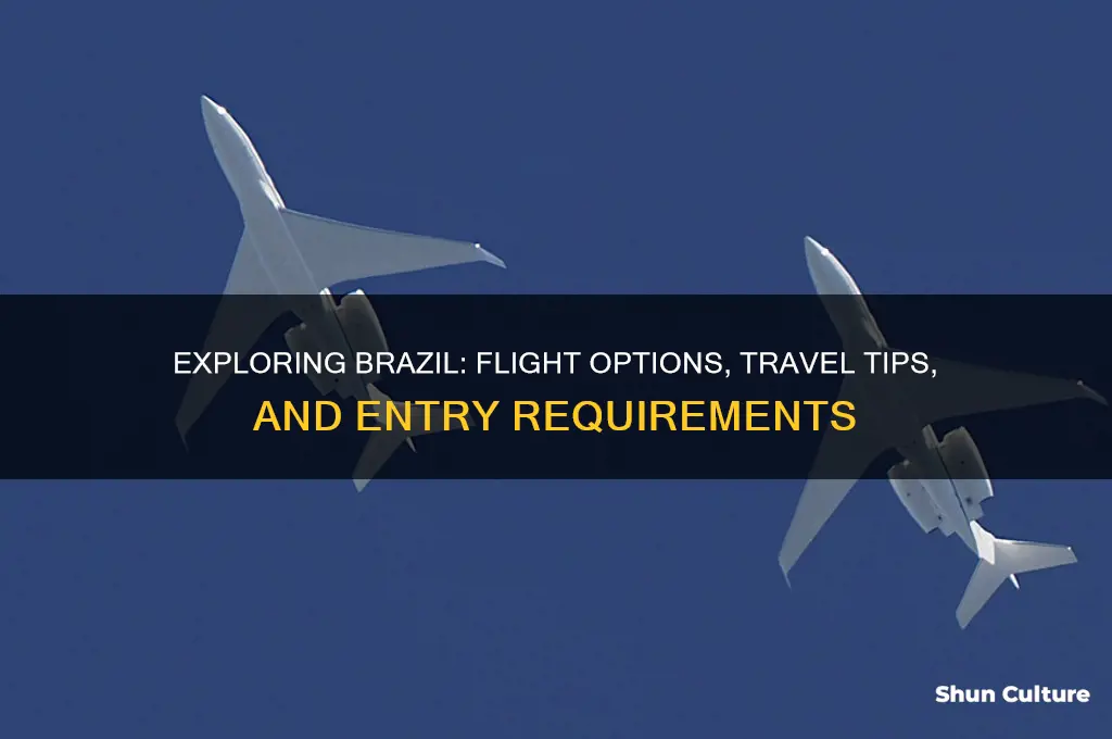 can you fly to brazil