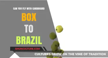 Flying to Brazil with a Cardboard Box: Is It Possible?