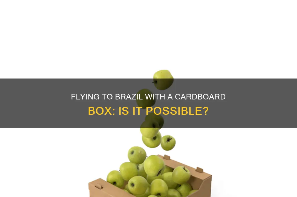 can you fly with cardboard box to brazil