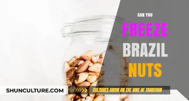 Can You Freeze Brazil Nuts? A Complete Storage Guide