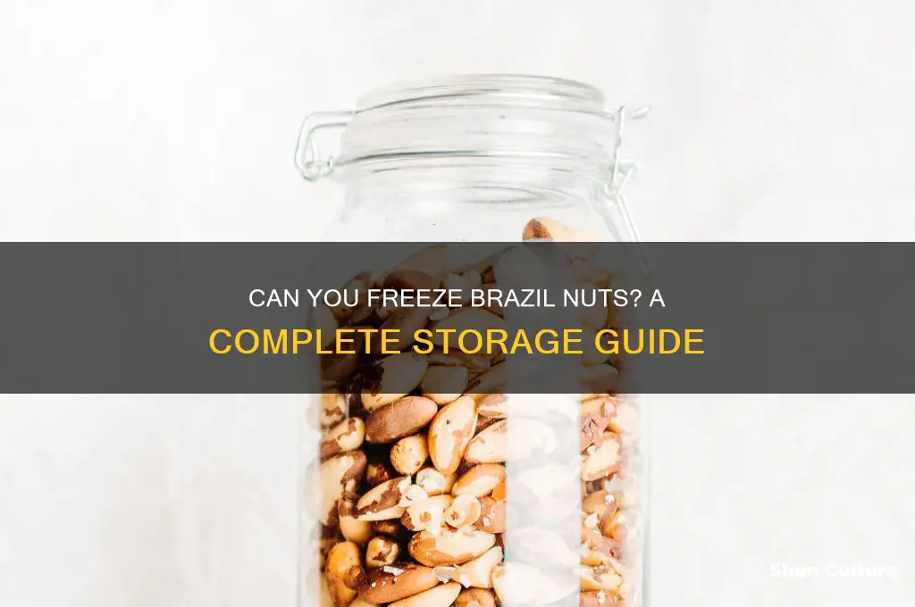 can you freeze brazil nuts