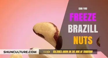 Freezing Brazil Nuts: A Guide to Proper Storage and Shelf Life