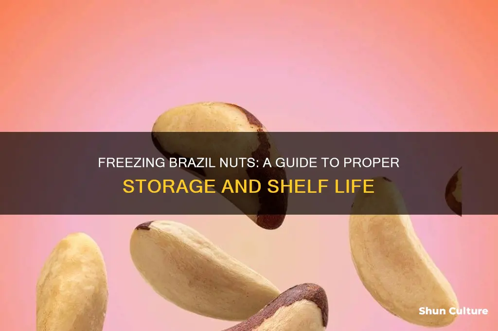 can you freeze brazill nuts