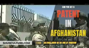 **Patent Protection in Afghanistan: A Feasible Option?** 