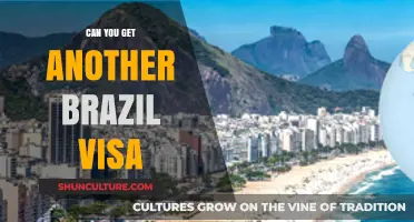 Renewing Your Brazil Visa: Can You Get Another One?