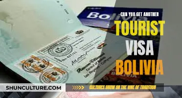 Exploring Bolivia: Multiple Tourist Visas and Their Possibilities