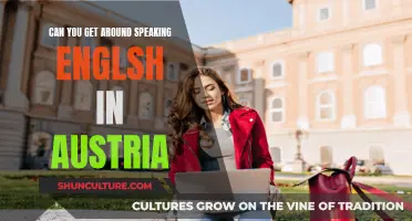 Exploring Austria Without Speaking English