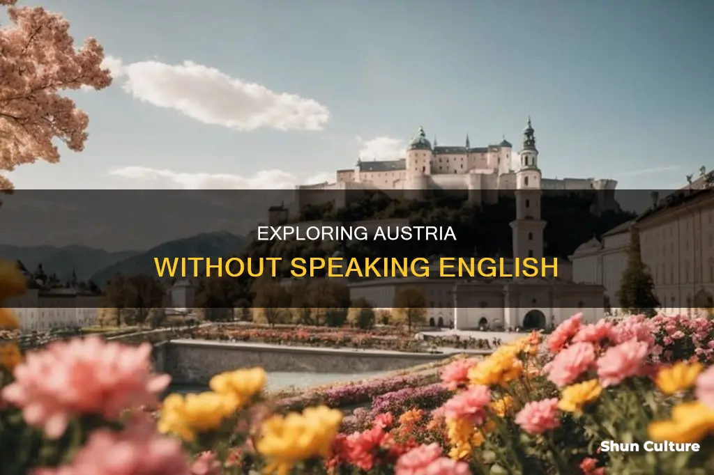 can you get around speaking englsh in austria