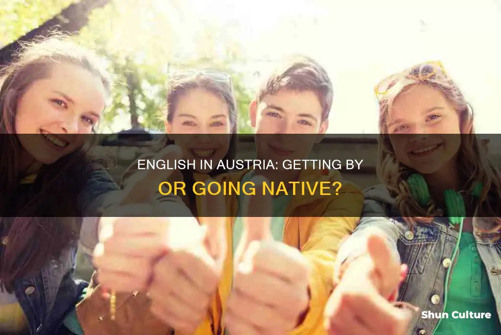 can you get by with english in austria