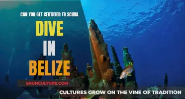 Explore Belize's Depths: Get Certified to Scuba Dive