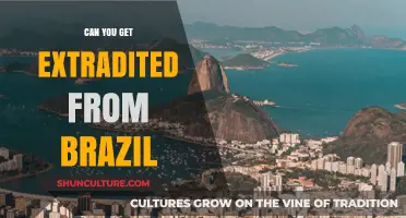 Extradition from Brazil: Legal Process, Challenges, and Key Considerations