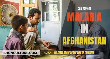 Malaria in Afghanistan: Understanding the Risks and Realities