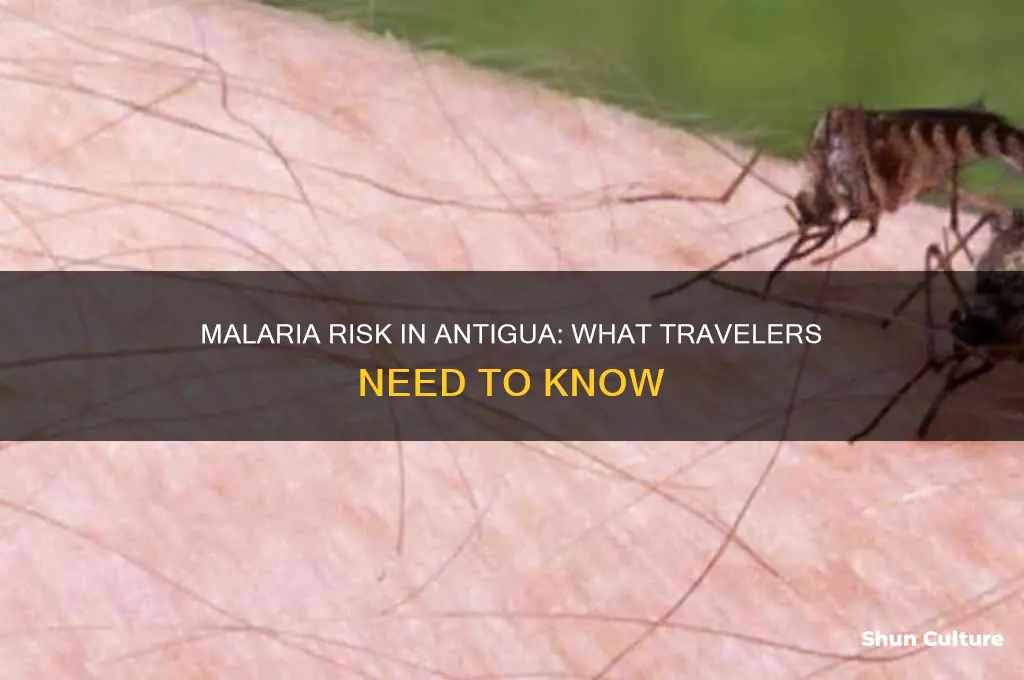 can you get malaria in antigua