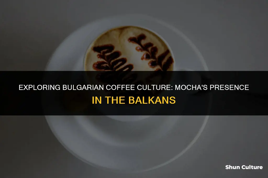 can you get mocha coffee in bulgaria