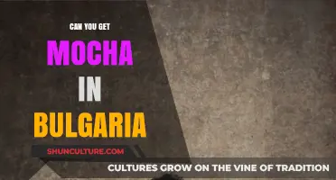 Exploring Bulgarian Cafes: The Quest for Mocha in Sofia