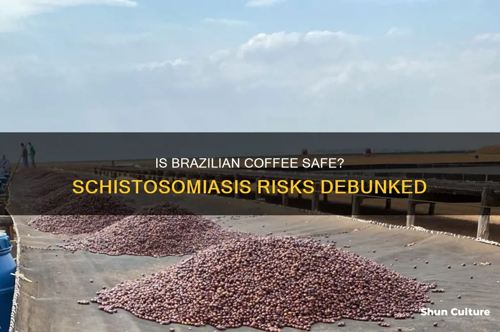can you get schistosomiasis by drinking coffee from brazil