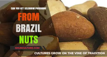 Brazil Nuts and Selenium Poisoning: Separating Fact from Fiction