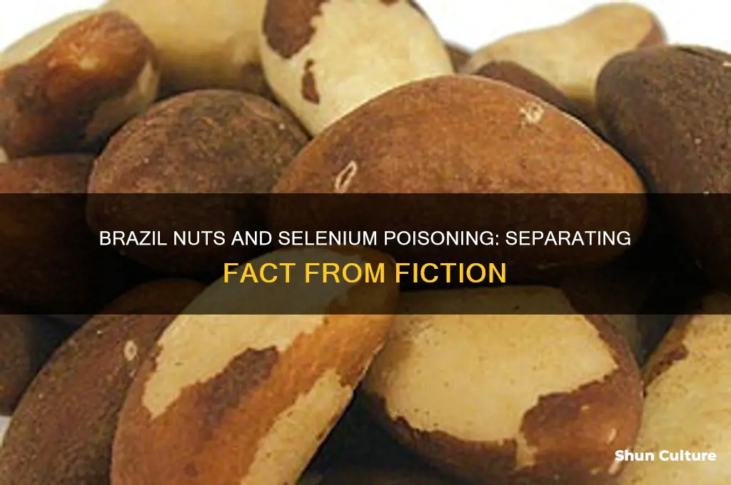 can you get selenium poisoning from brazil nuts