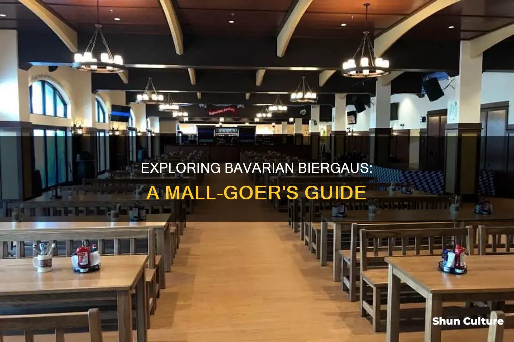 can you get to bavarian biergaus from inside the mall