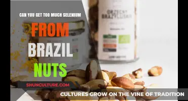 Brazil Nuts and Selenium: Balancing Benefits and Potential Overdose Risks