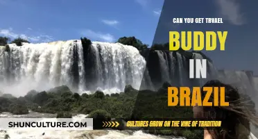 Finding Your Perfect Travel Buddy in Brazil: Tips and Tricks
