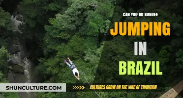 Thrilling Adventures: Bungee Jumping Experiences in Brazil Revealed