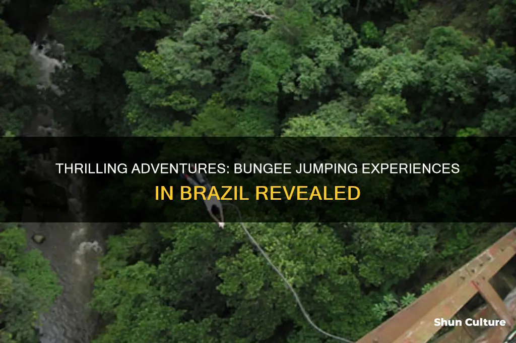 can you go bungee jumping in brazil