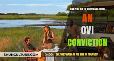 Traveling to Botswana with an OVI Conviction: What You Need to Know