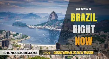 Traveling to Brazil Now: Current Entry Requirements and Safety Tips