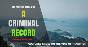 Traveling to Brazil with a Criminal Record: What You Need to Know