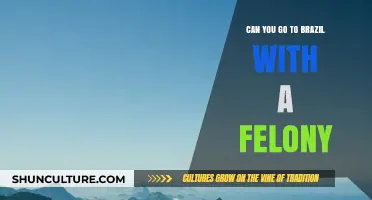 Traveling to Brazil with a Felony: What You Need to Know