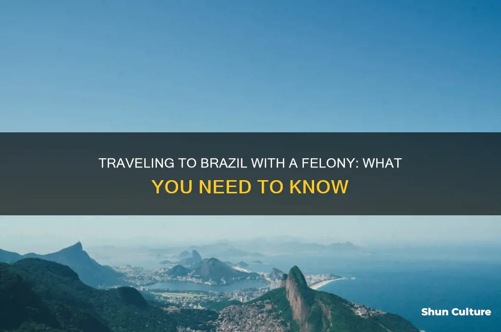 can you go to brazil with a felony