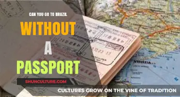 Traveling to Brazil: Passport Requirements and Alternative Documents Explained
