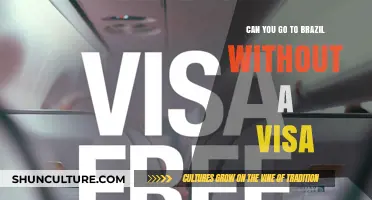Traveling to Brazil: Visa-Free Entry Requirements Explained