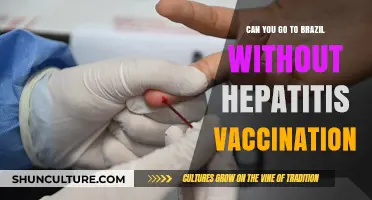 Traveling to Brazil: Hepatitis Vaccination Requirements Explained