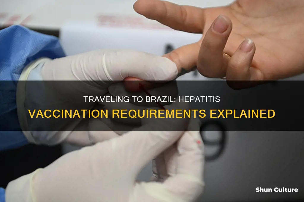 can you go to brazil without hepatitis vaccination
