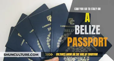 Travel to Italy with a Belize Passport: What You Need to Know