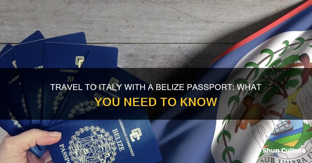 can you go to italy on a belize passport