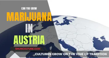 Marijuana Cultivation in Austria: What's the Law?