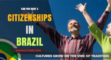 Exploring Multiple Citizenship Possibilities: Can Brazil Allow Three?