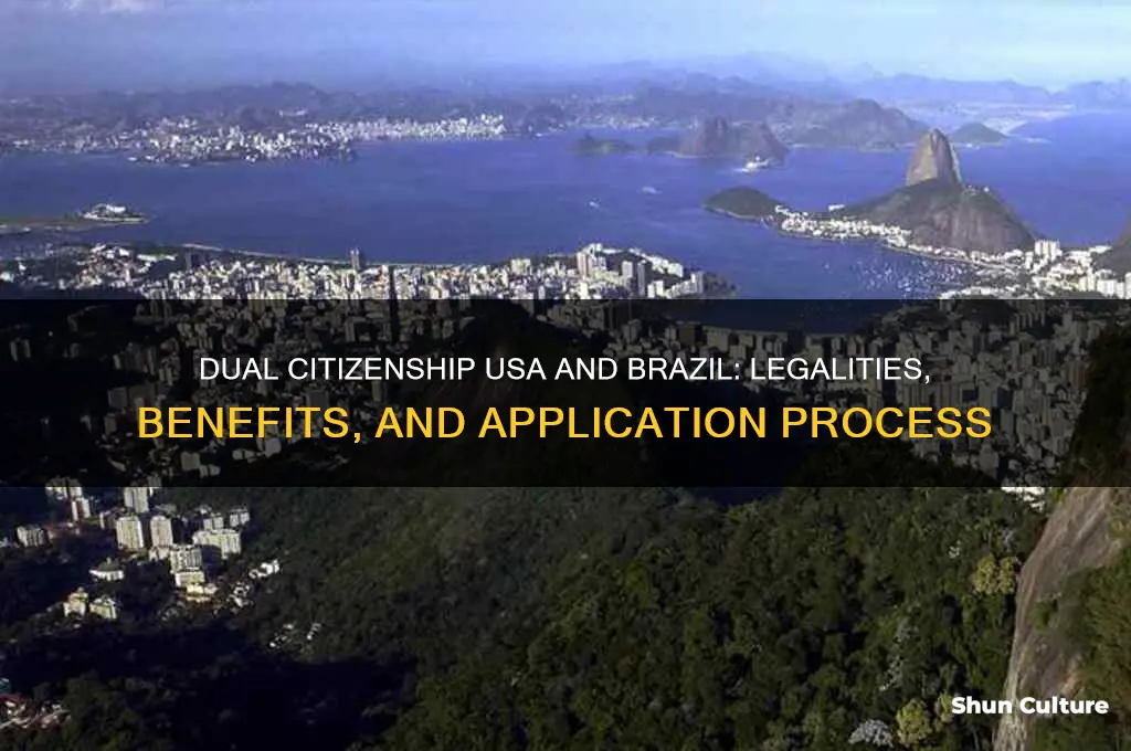 can you have a dual citizenship with usa and brazil