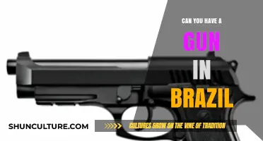 Brazil's Gun Laws: Ownership, Restrictions, and Legal Requirements Explained
