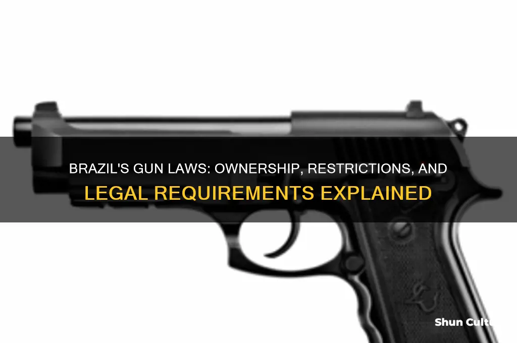 can you have a gun in brazil